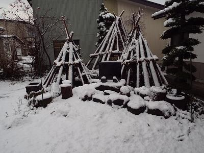 ◆一晩で白銀間世界に◆
