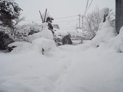 ◆特大寒波襲来◆