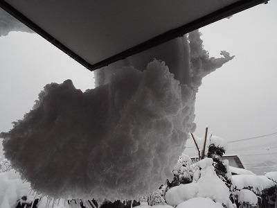 ◆自然の造形◆