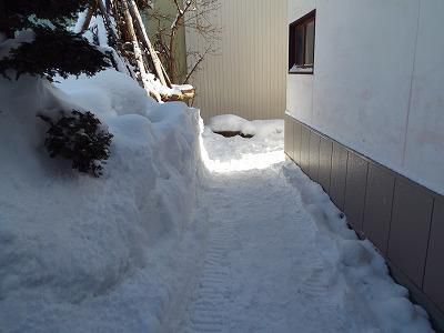 ◆暖冬も今日までか◆
