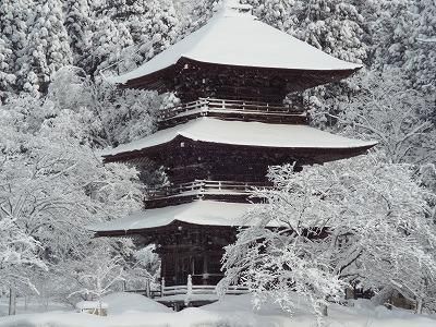 ◆低温注意報発令◆