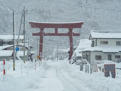 ◆本日の高畠◆