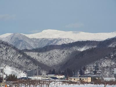 ◆やはり今年は暖冬ですね◆