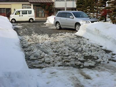 ◆暖冬が続いています。◆