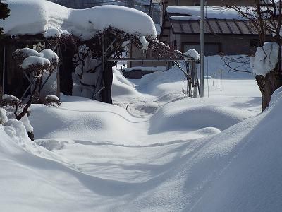 ◆大雪警報が出たものの◆