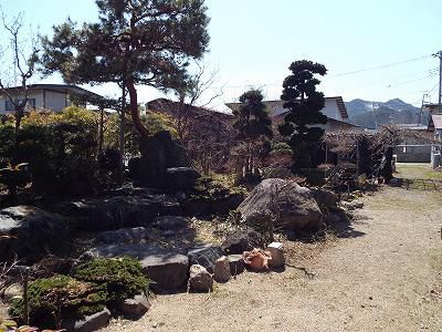 ◆たかはたの春捜し◆