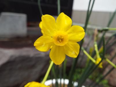 ◆本日の高畠◆