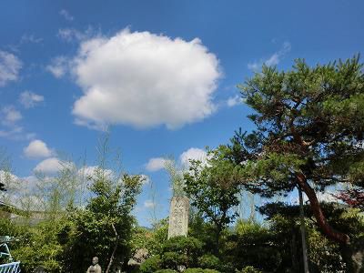 ◆梅雨の中休み◆