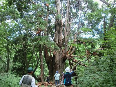 ◆ブナ瞑想の森体感ツアーに参加◆