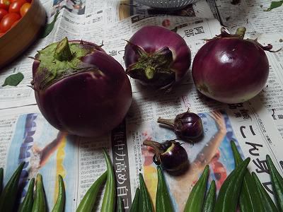 ◆取り残しのお化け茄子◆