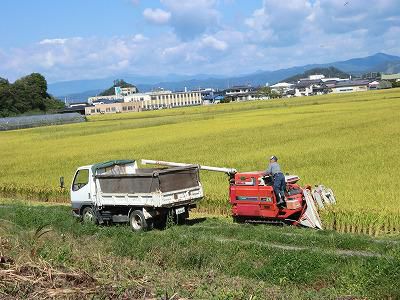 ◆本日から稲狩り始まりました。◆