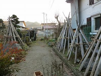 ◆雪囲い完了◆
