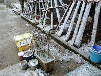 ◆師走も2日　　初積雪です。◆