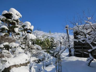 ◆寒波も小休止か　　◆