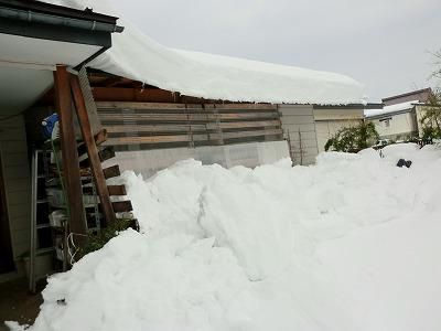 ◆屋根の雪が落ちてみたら◆
