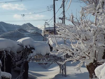 ◆つかの間の晴天◆
