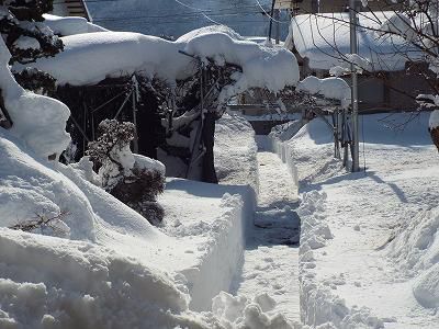 ◆裏道を除雪しました。◆