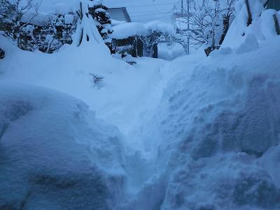 ◆３が日は雪の恵み?続きでした。◆