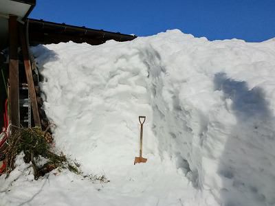◆排雪日和◆