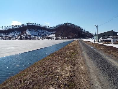◆鈴沼も春を迎えつつあります。◆