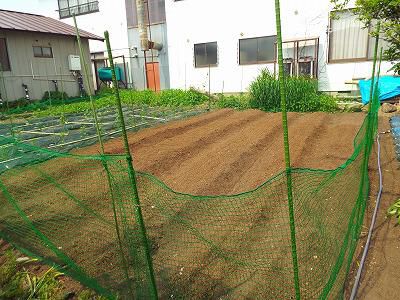 ◆野菜の種まきほぼ終了◆