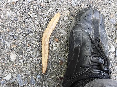 ◆巨大ナメクジに遭遇◆