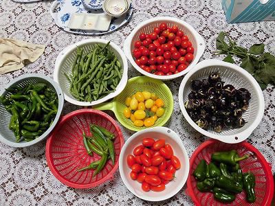 ◆色とりどりの夏野菜◆