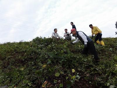 ◆屋代川河川敷の草刈り参加◆