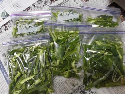 ◆夏野菜の保存◆