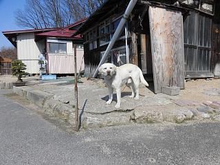 ◆　r鈴沼の近況　◆