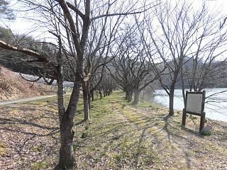 ◆鈴沼の遊歩道◆