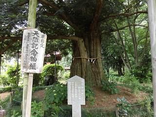 ◆伊達家のルーツを探る旅◆