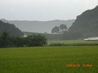 ◆ 朝もやのまほろばの里高畠