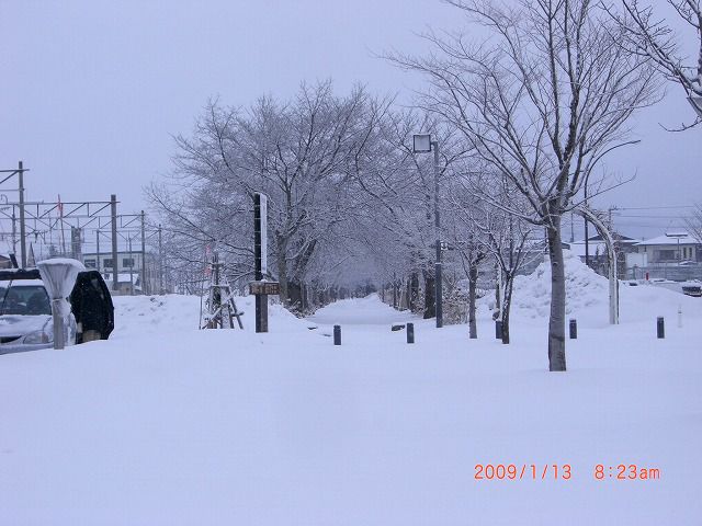 ◆まほろばの緑道の雪景色  /:/:/