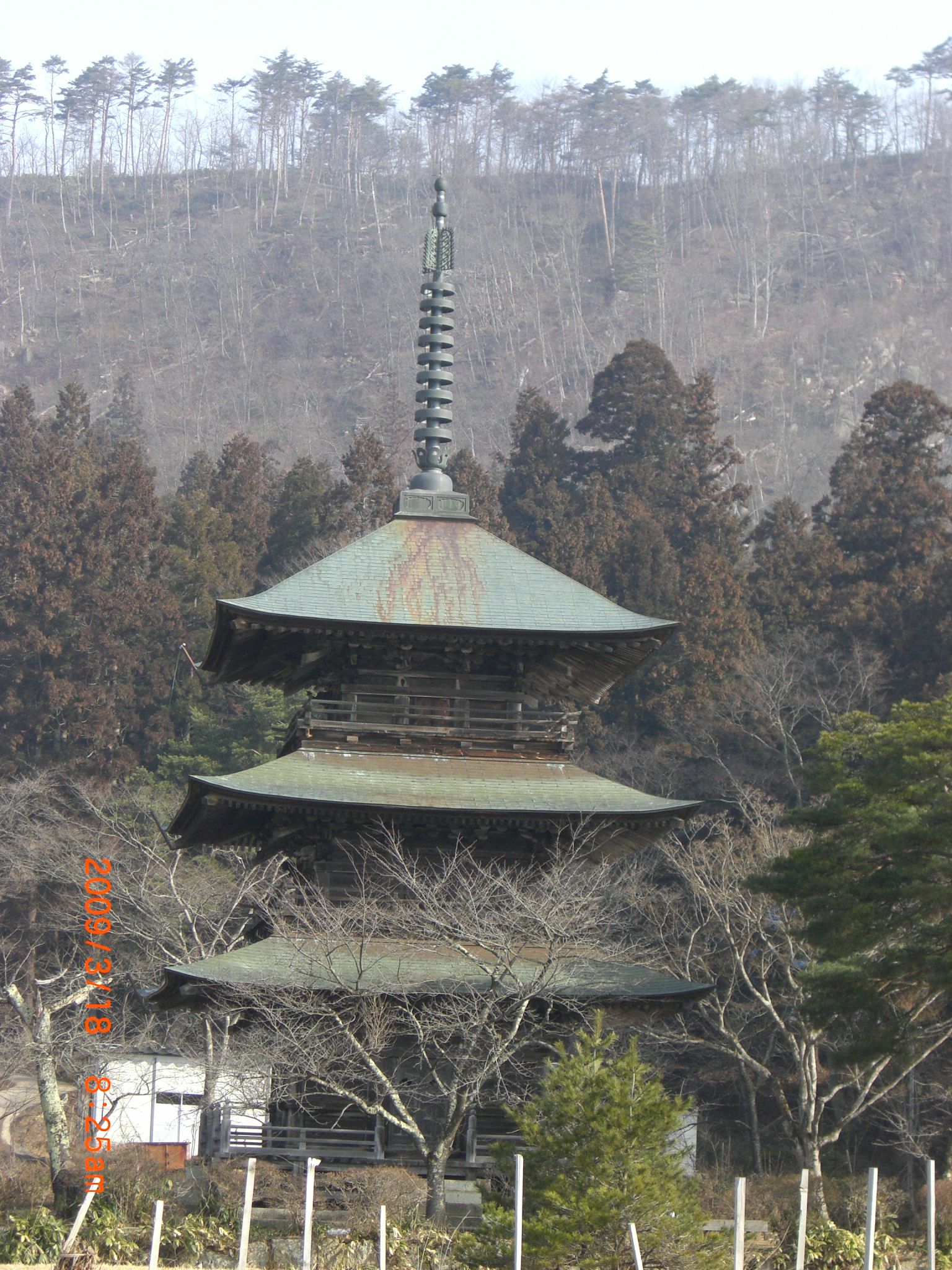 ◆本日の『三重塔』 朝日に照らされて  /:/:/