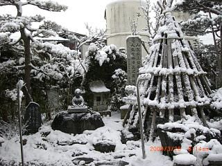 ◆最後の雪が  /:/:/:/