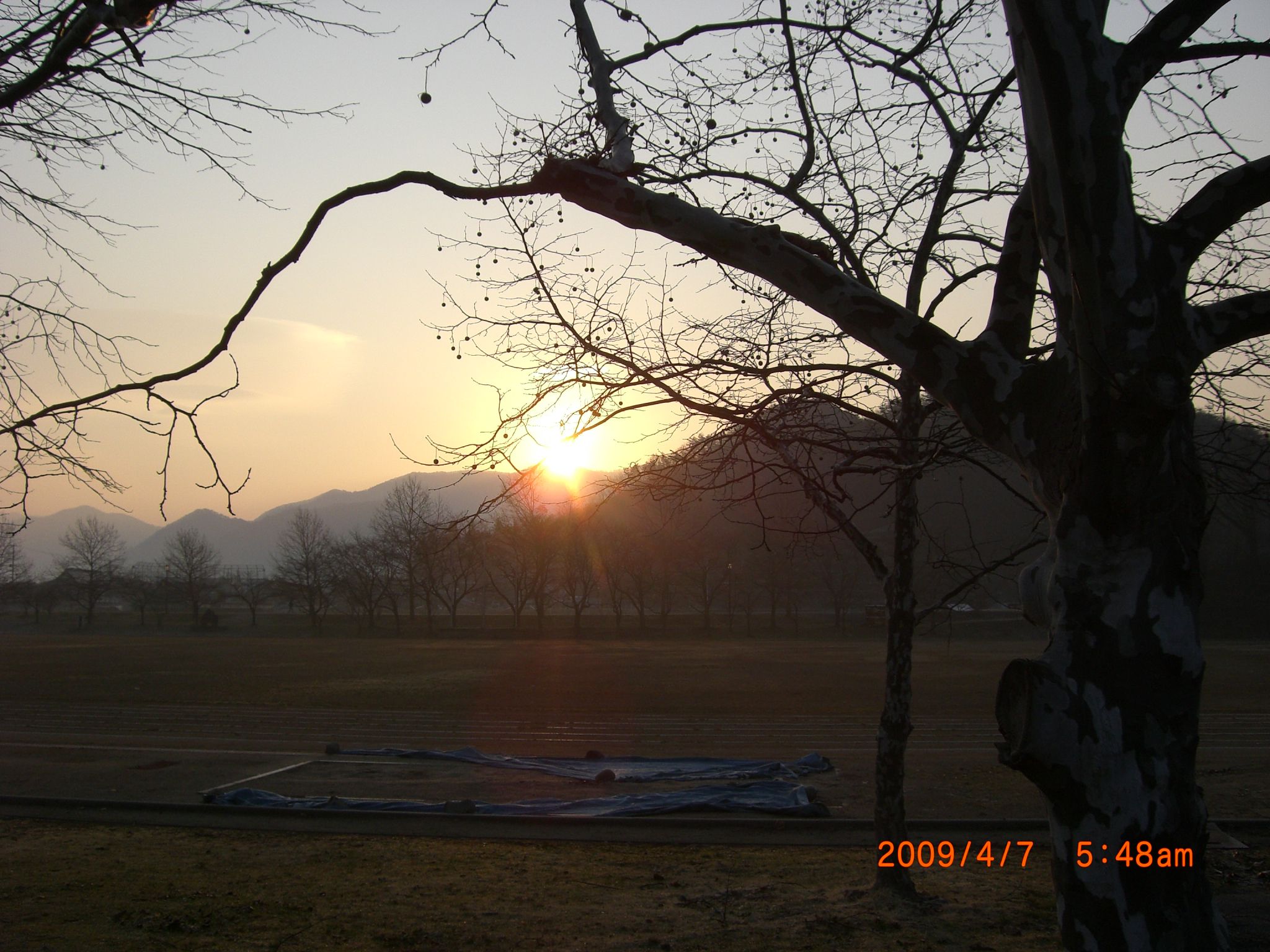 ◆中央公園の日の出  /:/:;