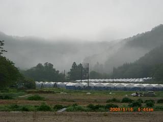 ◆まほろばの里原風景  /:/: