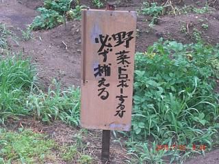 ◆不届き者がいたものです。  @@@@@