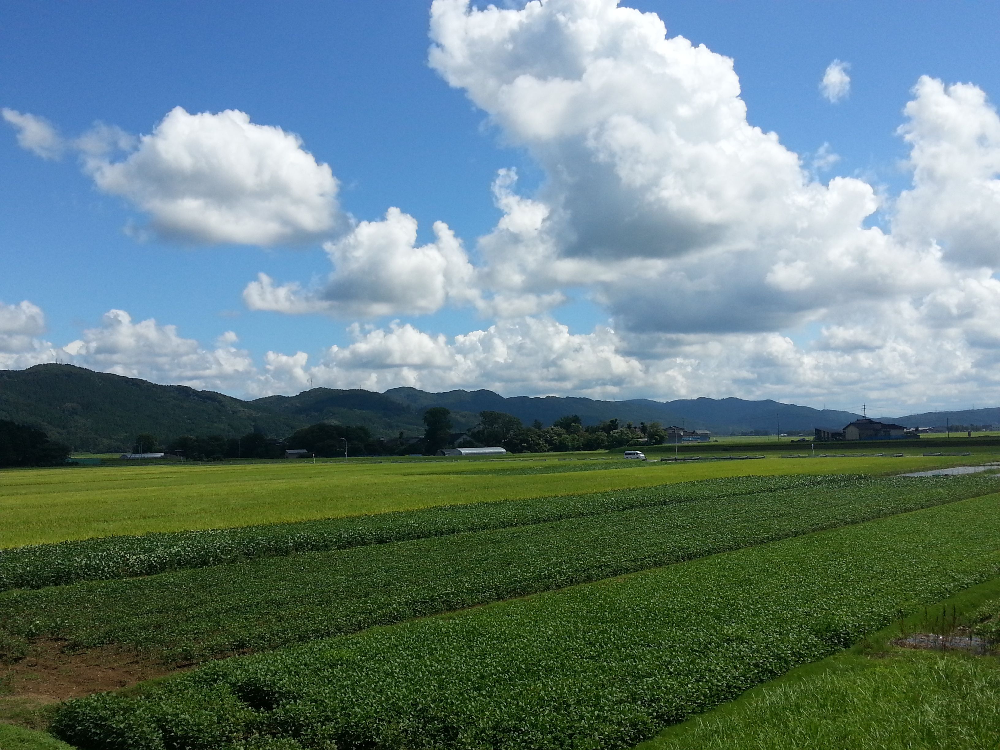 8月も残すところあとわずか･･･