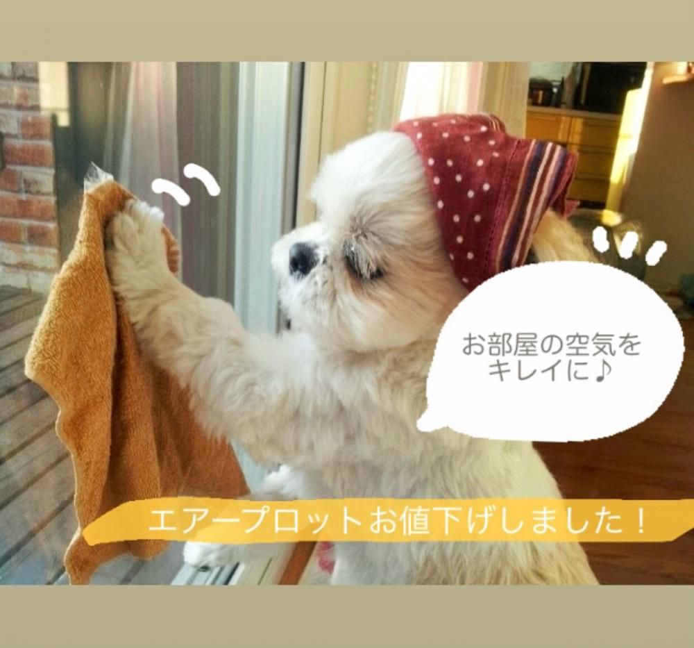 エアープロットがお求めやすい価格に！