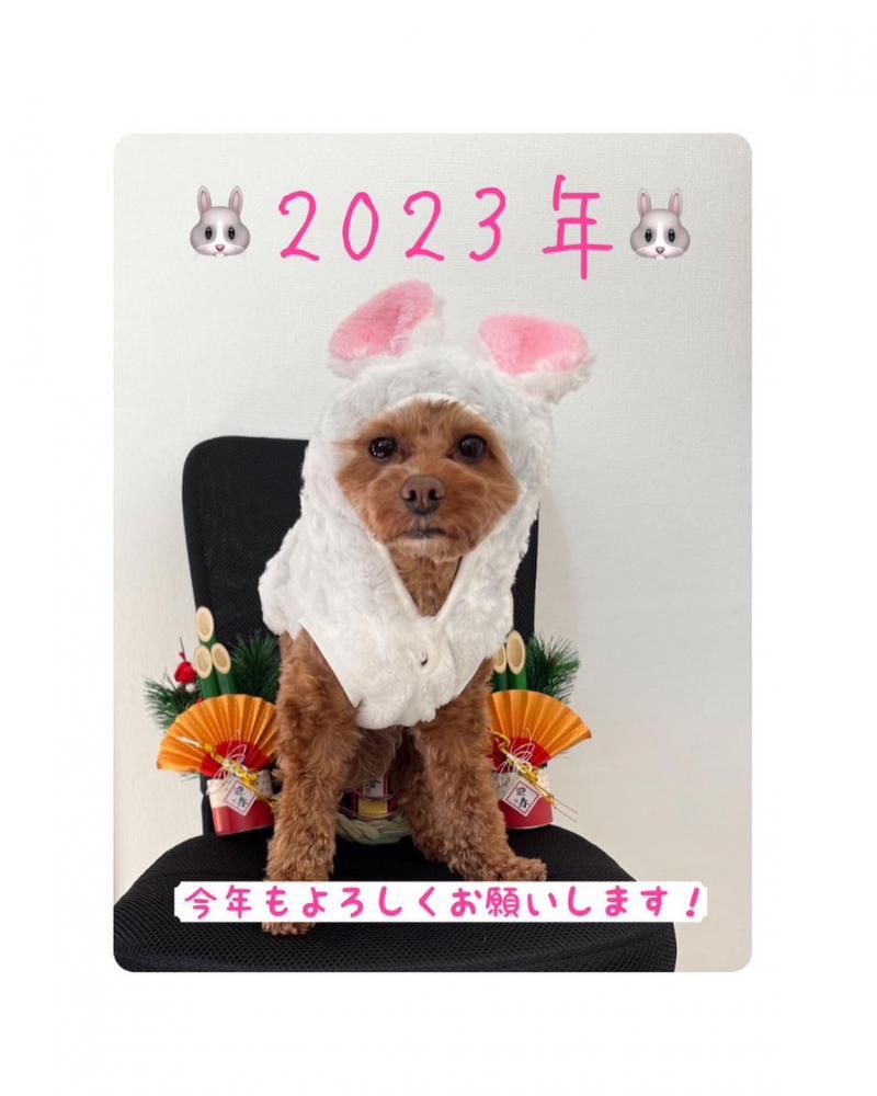 明けましておめでとうございます！