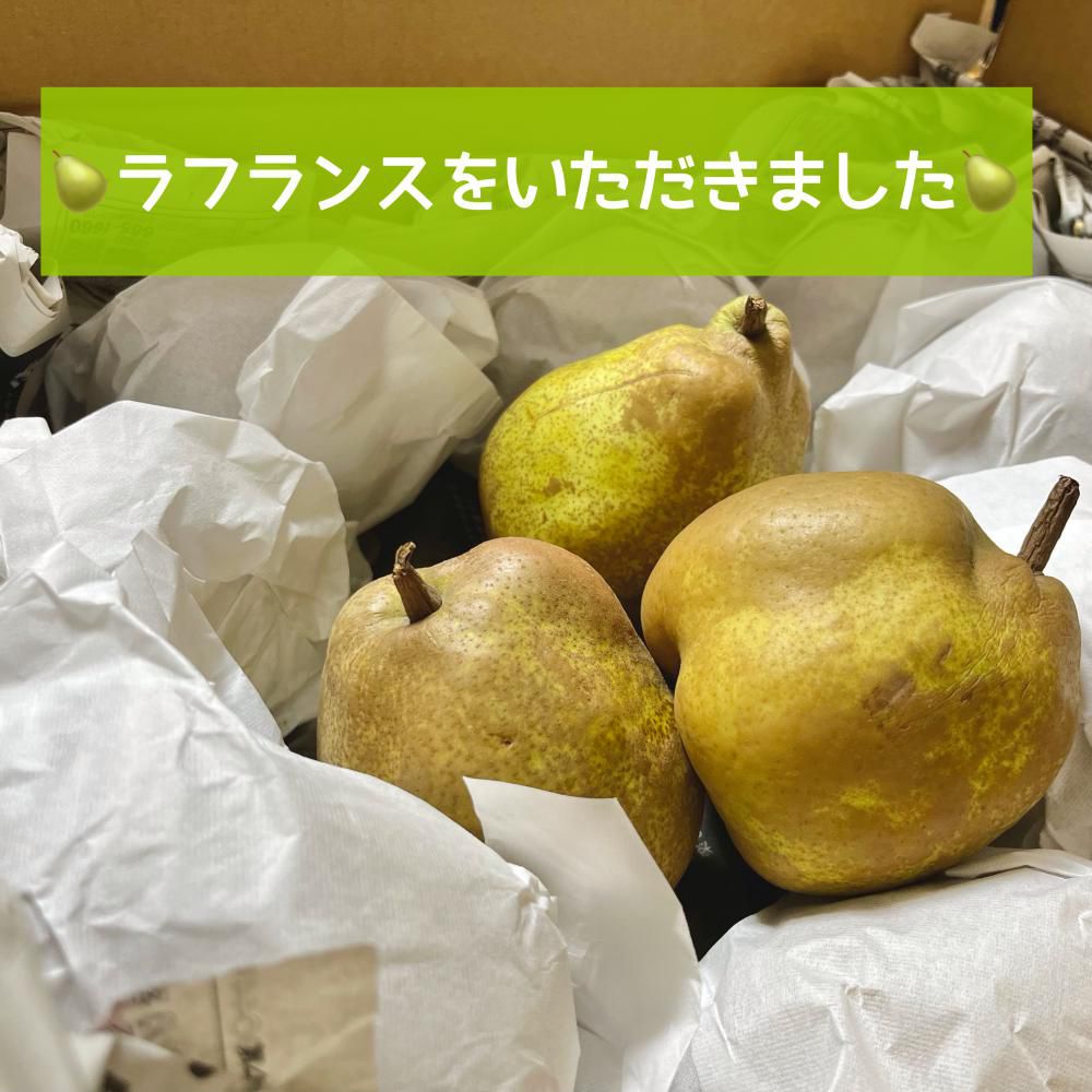 ラフランスをいただきました！