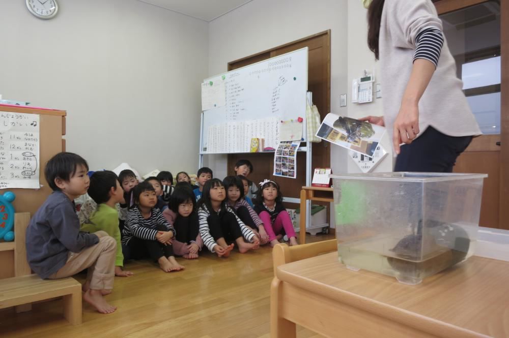 りんごちゃん