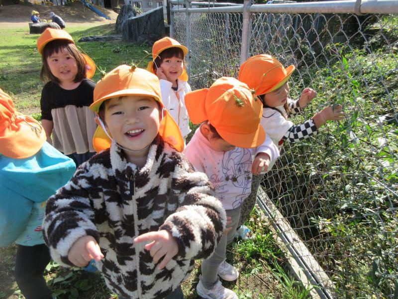 秋の自然を存分に楽しんでます