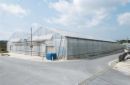 登記できない建物