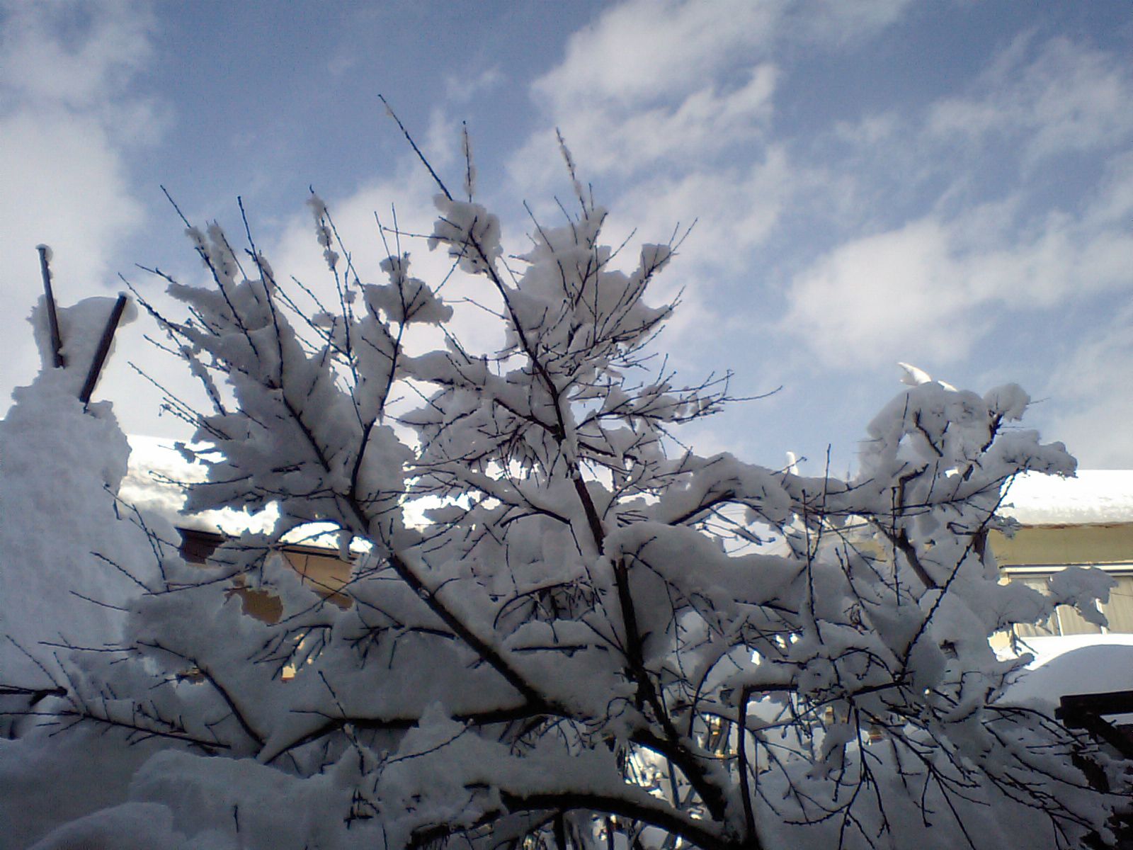 一面雪