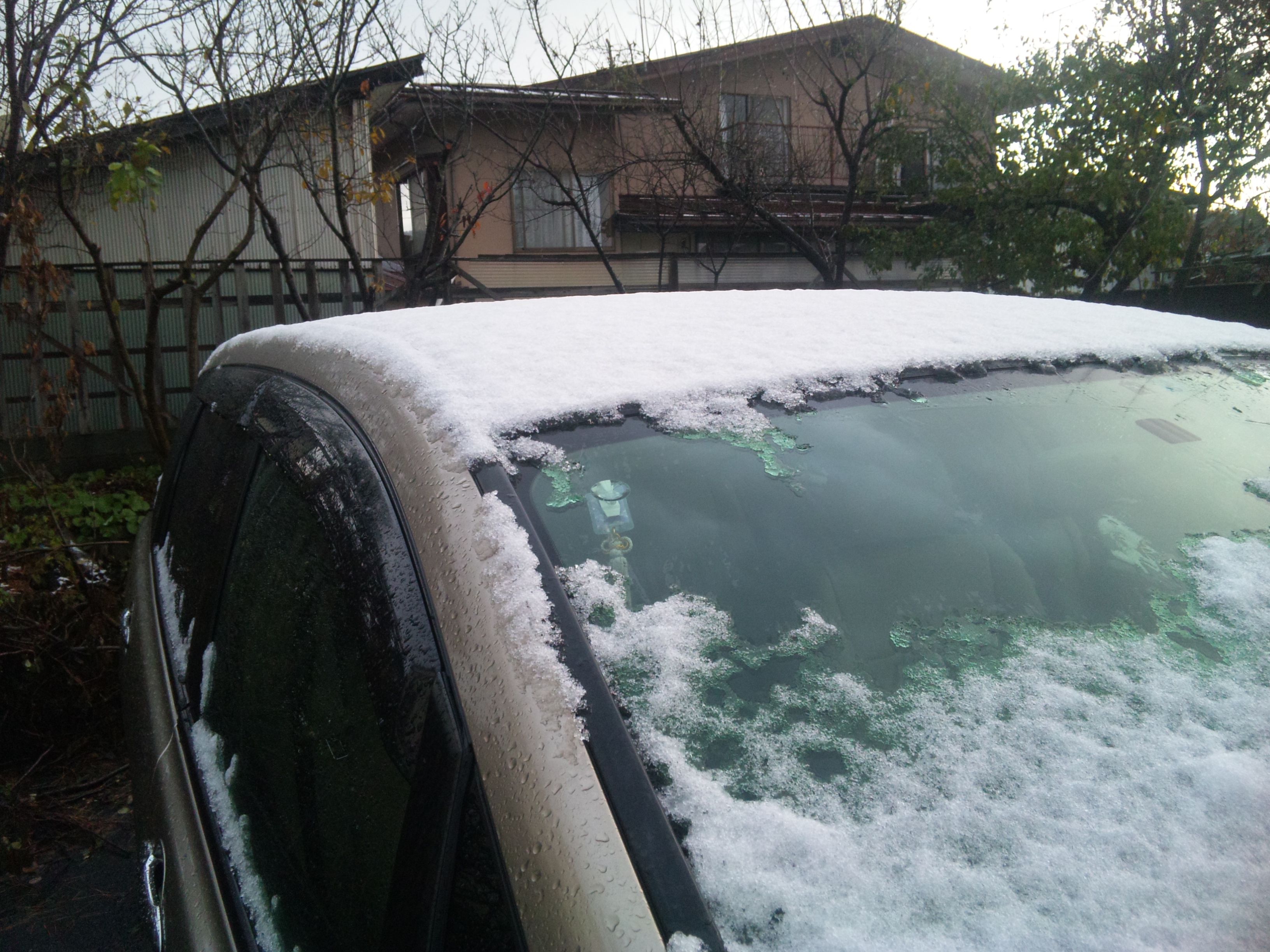 初雪