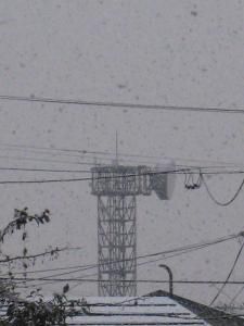初雪