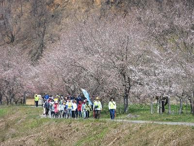 ながいフットパスウォークの報告